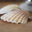 Coquille Saint-Jacques - Les Trois Sorcières