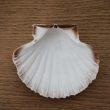 Coquille Saint-Jacques – Image 5